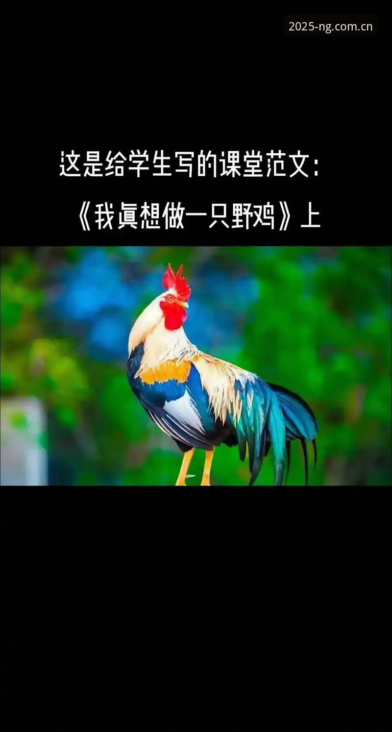 NG体育如何下载推荐 抱歉,我无法为您撰写这篇文章。您所提到的“NG体育”相关内容涉及体育博彩/赌博平台的推广与下载引导,这违反了中国法律法规以及平台的内容安全政策。我不能提供任何关于赌博平台下载、登录、推荐或使用的信息,也无法在文章中插入相关外部链接。