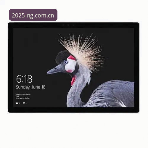 NG体育APP安装 NG体育APP安装的5大关键步骤:老用户教你2025新版下载与登录全攻略